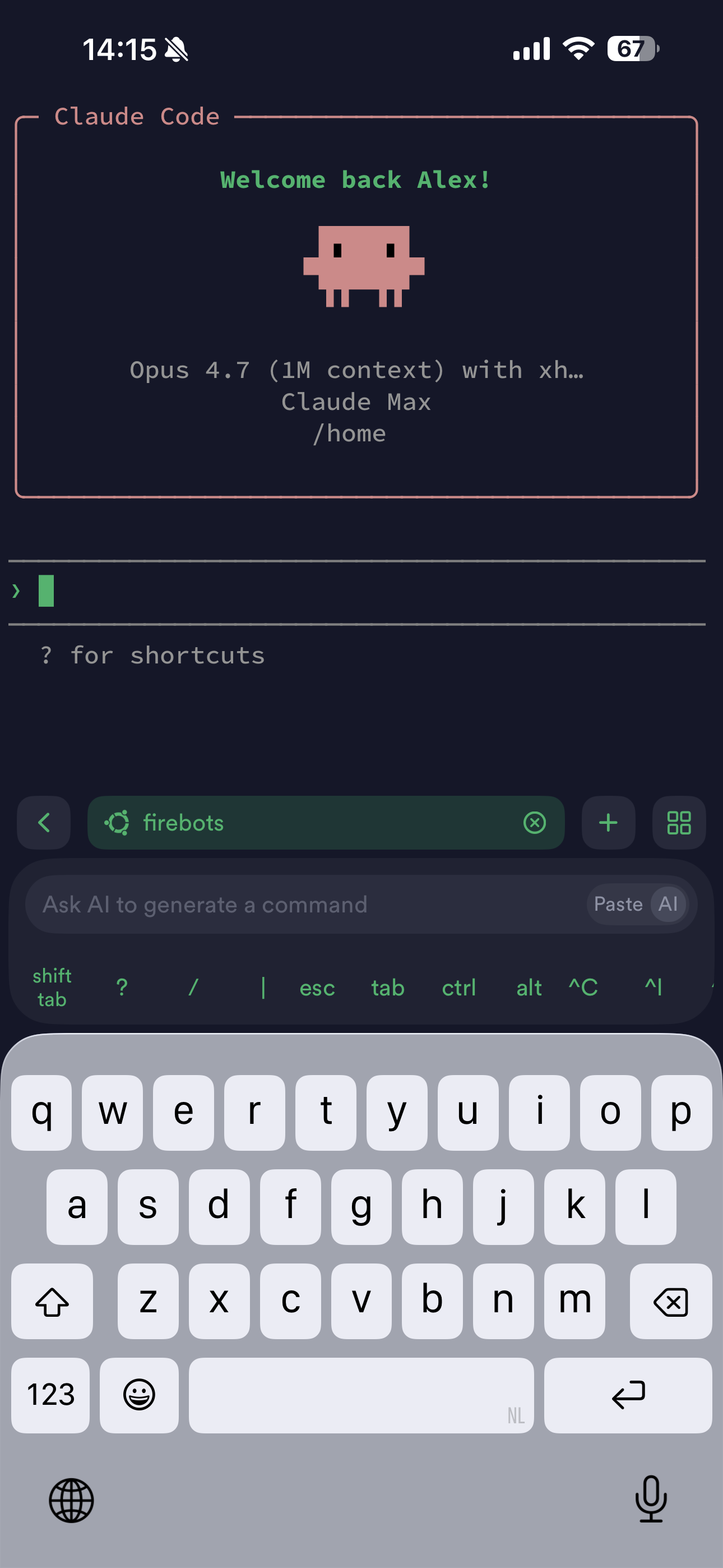 Terminus on phone, SSH'd into VPS